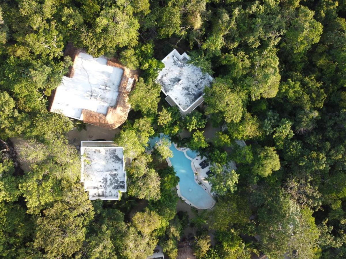 Cachito De Cielo Luxury Jungle Lodge Tulum Luaran gambar